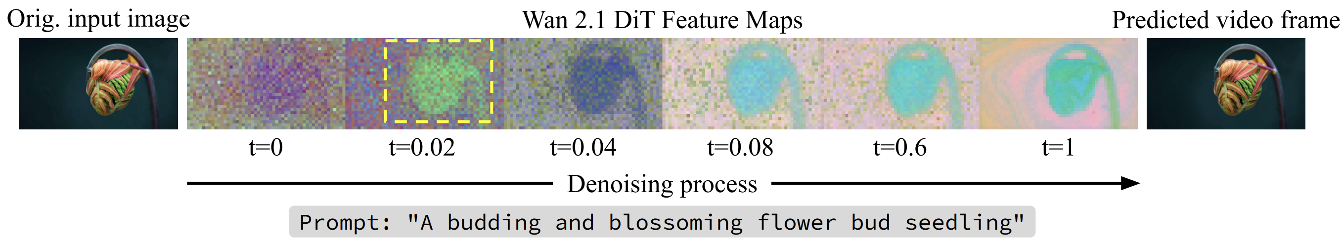 Visualization of shortcut effect in I2V generation